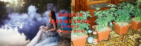 каннабис Дмитров